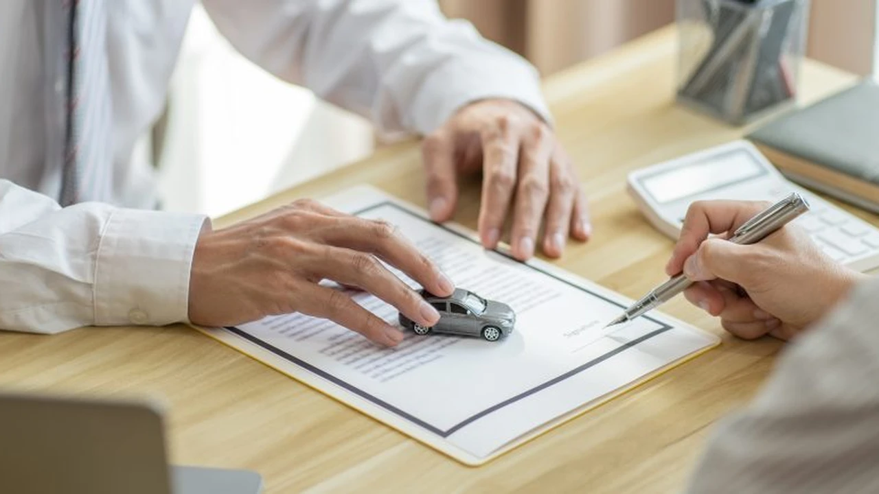 Two mint chocolate milkshakes with whipped cream and green sprinkles.