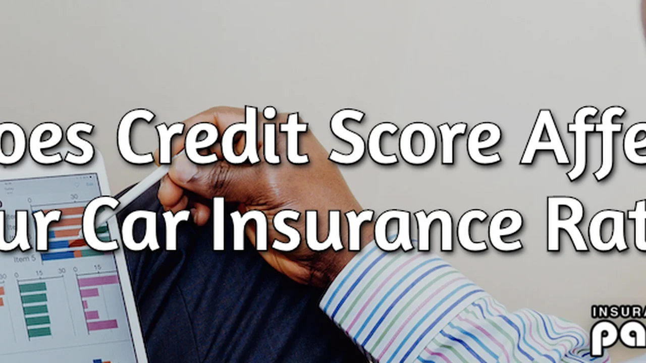 blue bowl of black bean beef tortilla soup on a board with cilantro and shredded cheese in background